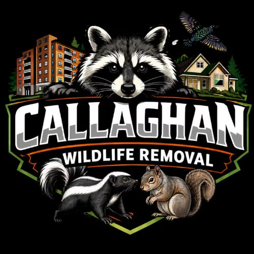 Callaghan WR&ES Wildlife Removal & Exclusion Services Logo
