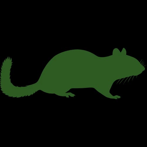 Chipmunk Icon