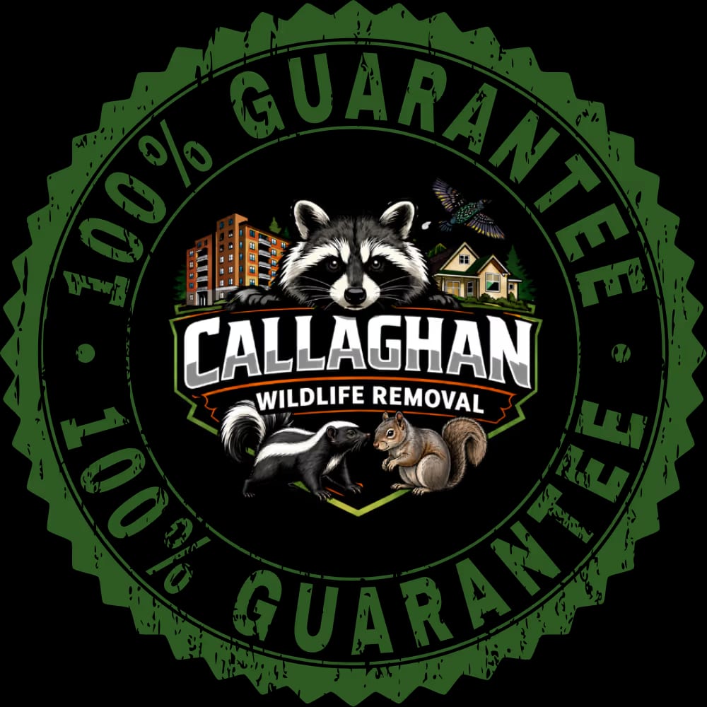 Guarantee Sticker