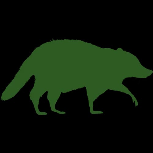Raccoon Icon