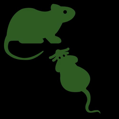 Rodent Icon