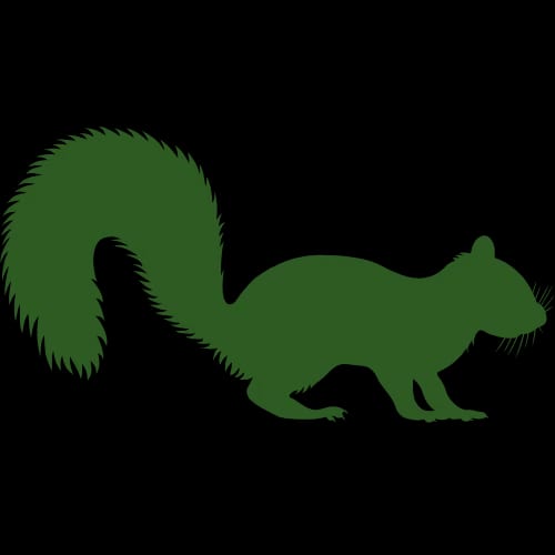 Squirrel Icon